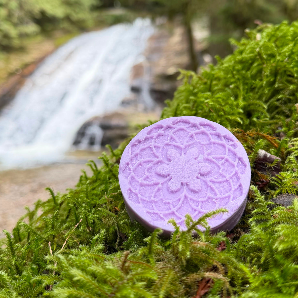 Calm & Hydrate Shampoo Bar